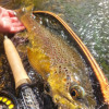 Fly Fishing Greater Niagara Fishing Expo
